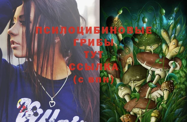 спиды Киреевск