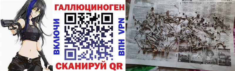 Купить  Донской  Галлюциногенные грибы ЛСД 
